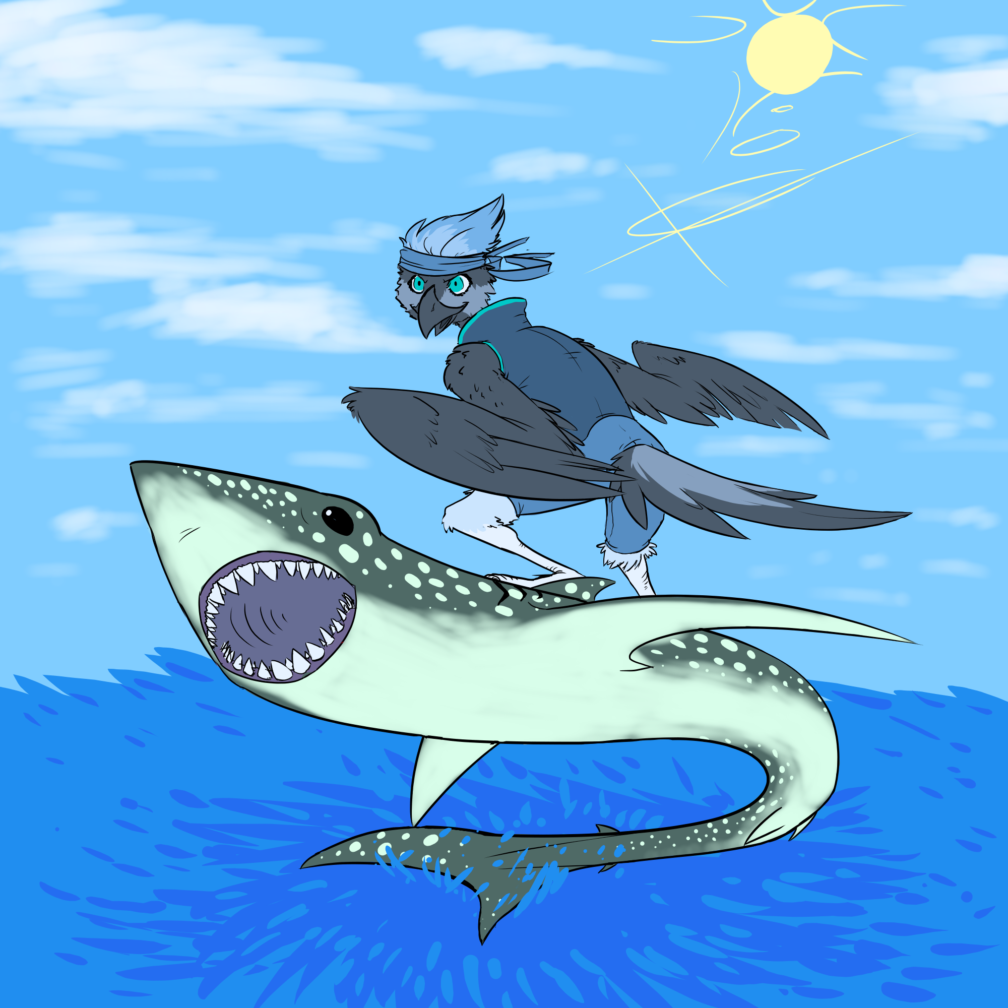 riding shark