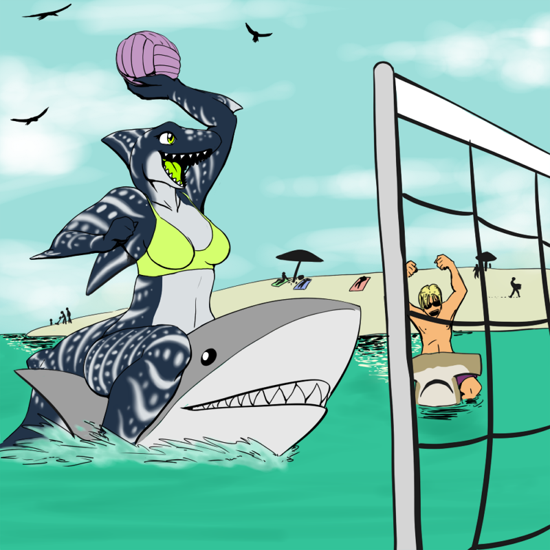 SharkVolleyballAtTheBeach