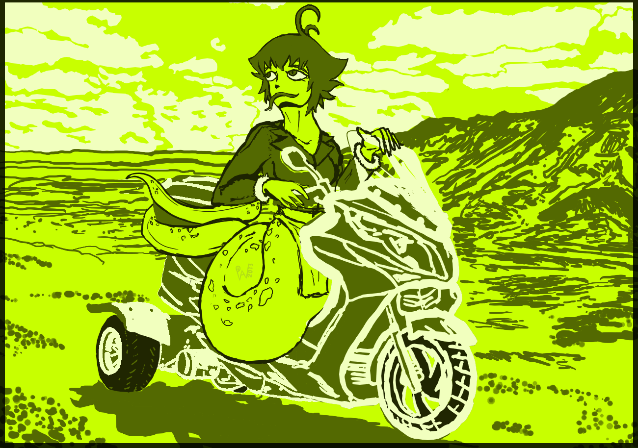 2013 Shark Stream 02 Moped Lamia